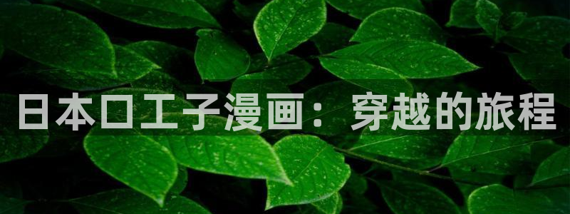 yy漫画入口在线：日本口工子漫画：穿越的旅程